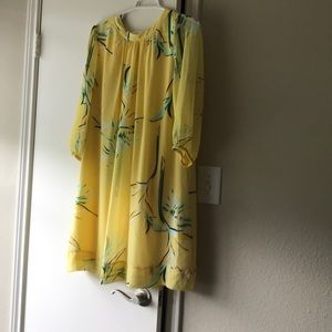 Eva Mendes For NY&Co dress